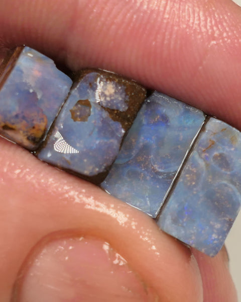 Queensland Boulder opal 29cts rough / slice / rubs Perfect for ring stones Koroit some fires 12x10x6mm to 12x7x6mm 0441