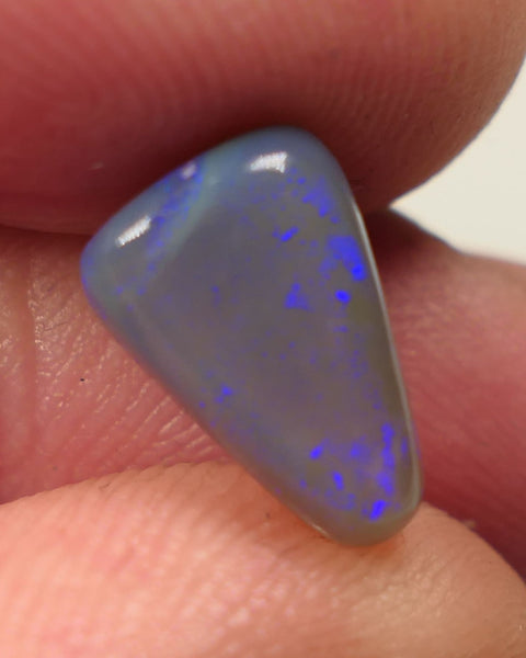 Lightning Ridge Dark Crystal opal Gemstone 3.3cts Polished ready for setting Some Nice Blue colours 12x8x5mm SKU#0444