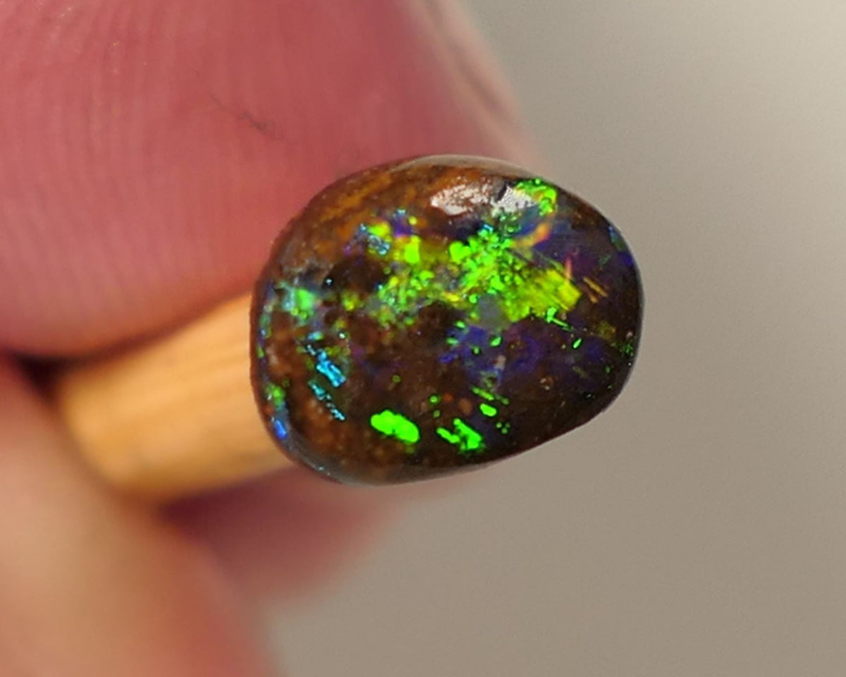 Queensland Boulder GEM Boulder opal 1.3cts rough / Rub / Preform Winton Amazing Super Bright Electric Vibrant & Vivid Multifires 10x6x2mm 0523