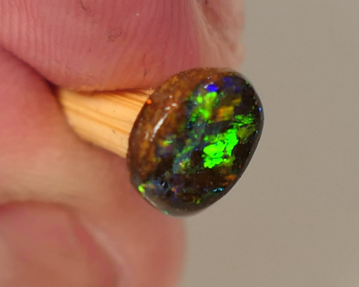 Queensland Boulder GEM Boulder opal 1.3cts rough / Rub / Preform Winton Amazing Super Bright Electric Vibrant & Vivid Multifires 10x6x2mm 0523