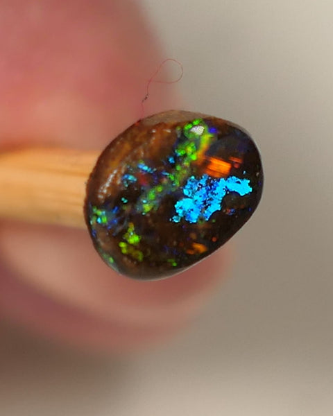 Queensland Boulder GEM Boulder opal 1.3cts rough / Rub / Preform Winton Amazing Super Bright Electric Vibrant & Vivid Multifires 10x6x2mm 0523