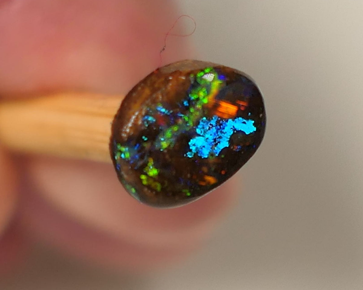 Queensland Boulder GEM Boulder opal 1.3cts rough / Rub / Preform Winton Amazing Super Bright Electric Vibrant & Vivid Multifires 10x6x2mm 0523