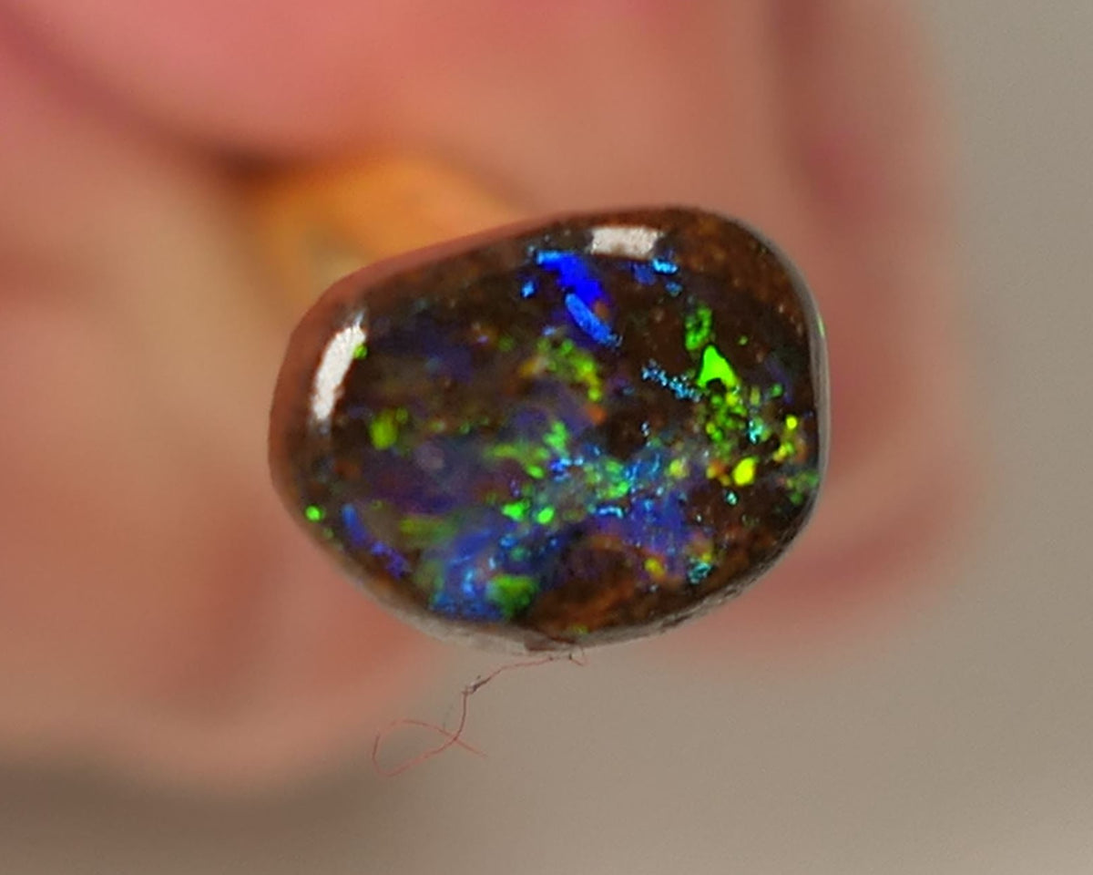 Queensland Boulder GEM Boulder opal 1.3cts rough / Rub / Preform Winton Amazing Super Bright Electric Vibrant & Vivid Multifires 10x6x2mm 0523