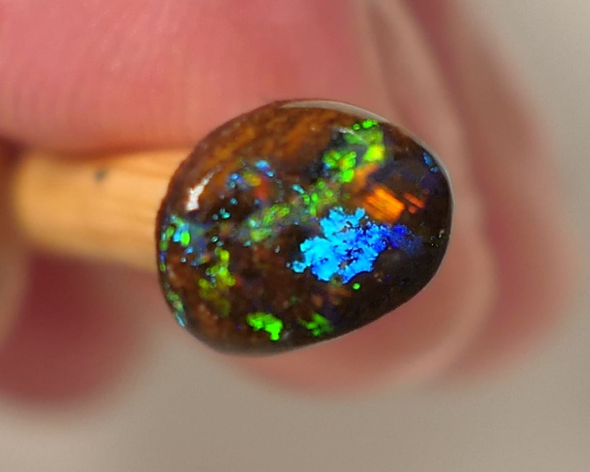 Queensland Boulder GEM Boulder opal 1.3cts rough / Rub / Preform Winton Amazing Super Bright Electric Vibrant & Vivid Multifires 10x6x2mm 0523