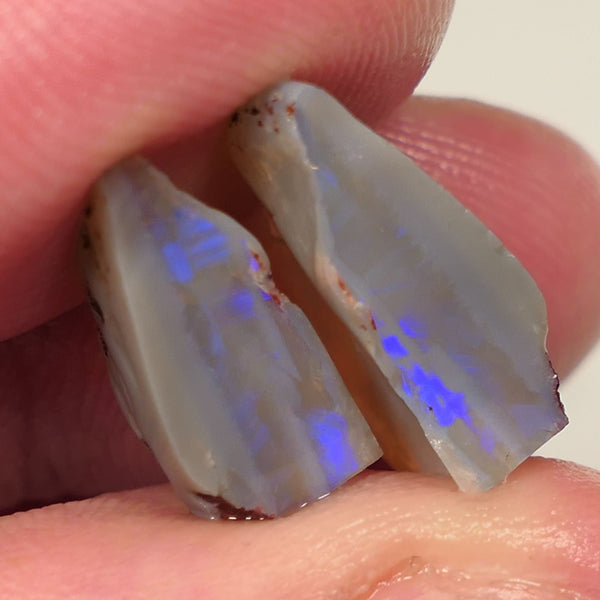 Lightning Ridge Rough Opal 12cts Dark Base Knobby Split Bright Blue fires in the bars 20x14x5mm to 13x8x5mm 0520