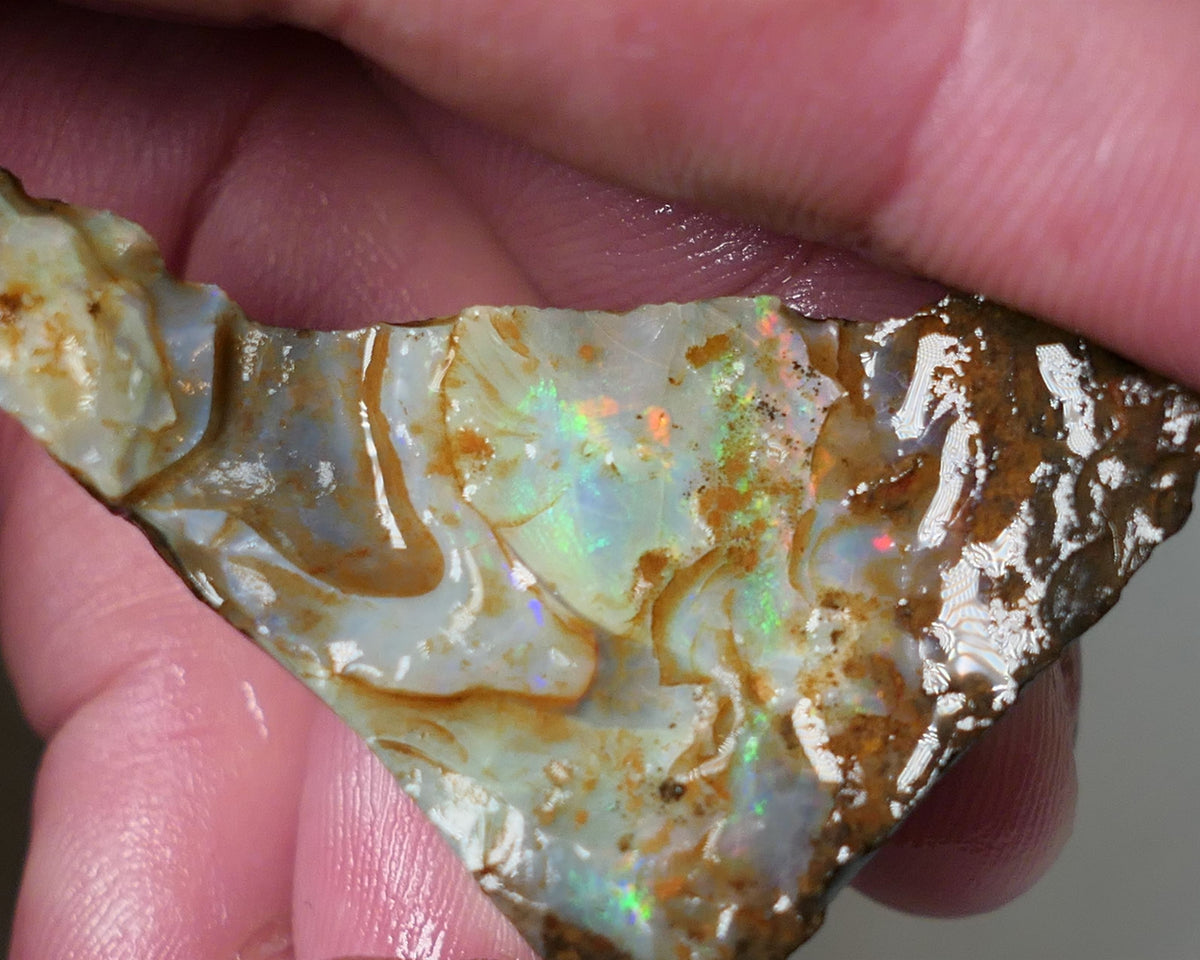 Queensland Boulder Matrix opal cts rough Koroit Multifires showing on the face 38x30x14mm 0530