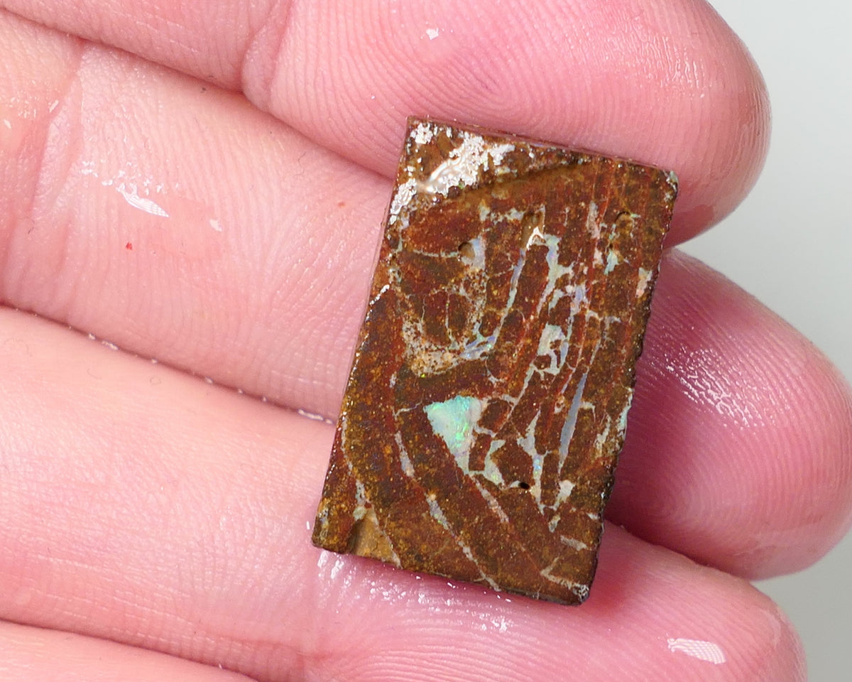 Queensland Boulder Matrix opal 20cts rough / slice Koroit Blues fires in the veins 25x13x5mm 0536