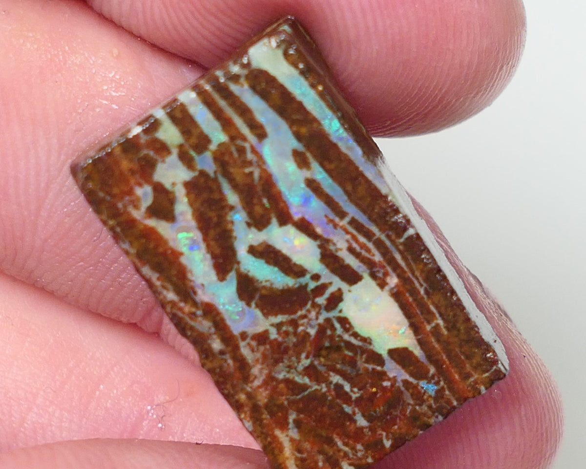 Queensland Boulder Matrix opal 20cts rough / slice Koroit Blues fires in the veins 25x13x5mm 0536