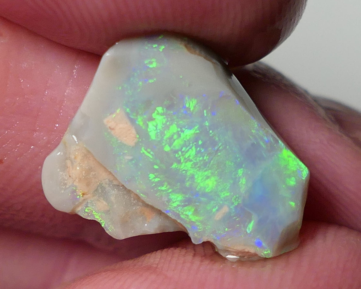 Lightning Ridge Opal Dark Base Seam Rough Rub 4.75cts Gorgeous Display of Bright Multifires 15x11x3mm 0541