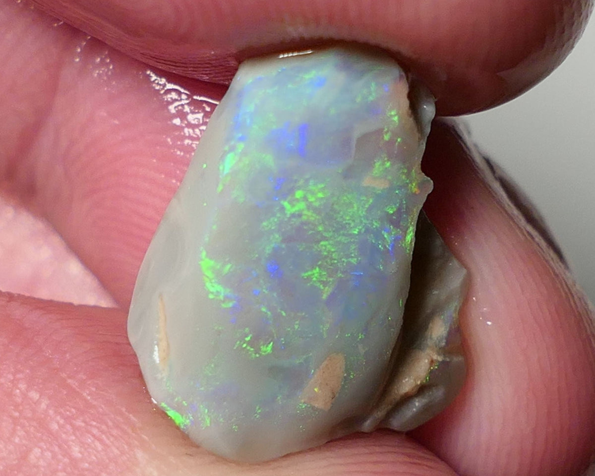 Lightning Ridge Opal Dark Base Seam Rough Rub 4.75cts Gorgeous Display of Bright Multifires 15x11x3mm 0541