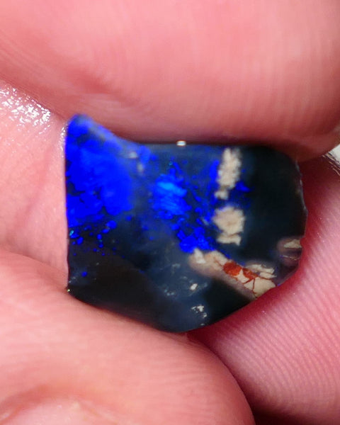 Lightning Ridge Opal Black Base Seam Rough Rub 3.5cts Electric Display of Super Super Bright Blues 13x11x4mm 0542