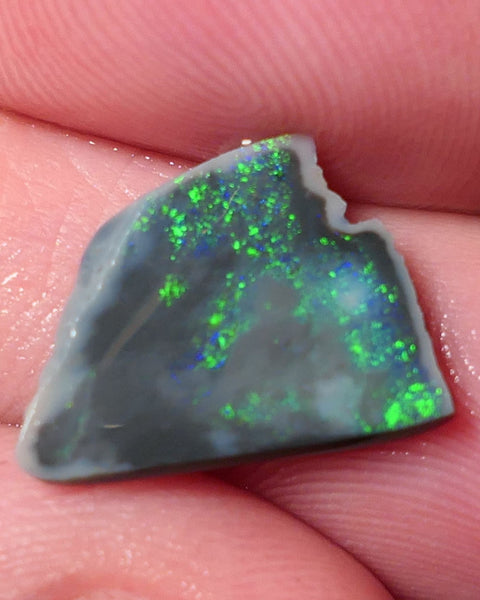 Lightning Ridge Opal Dark Base Seam Rough Rub 2.4cts Stunning Display of Bright Multifires 19x11x2mm 0549