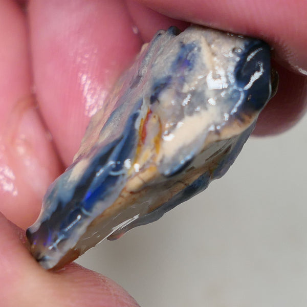 Lightning Ridge Rough Opal 23cts Black / Dark Base Gamble Seam Bits Blues in the bar 27x20x12mm 0636