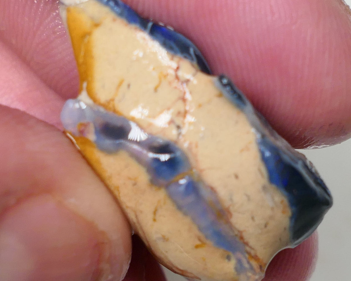 Lightning Ridge Rough Opal 23cts Black / Dark Base Gamble Seam Bits Blues in the bar 27x20x12mm 0636