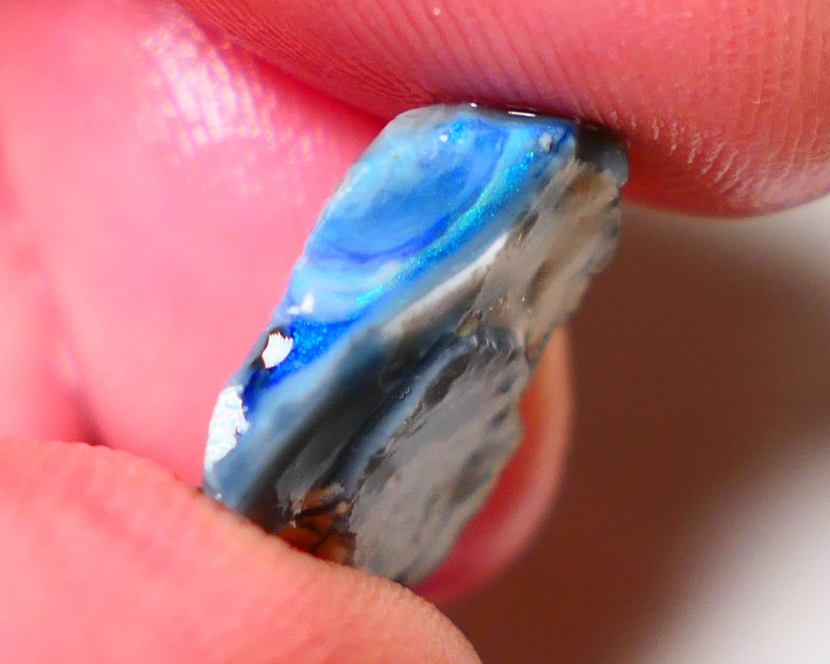 Lightning Ridge Rough Opal 6.75cts Dark Base Gamble Seam some Blues in the bar 20x15x5mm 0642