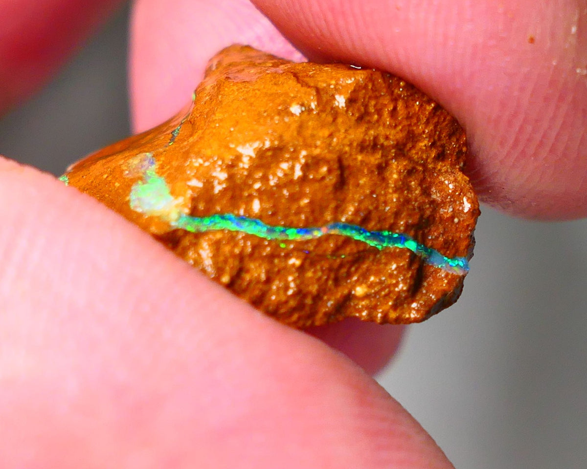 Queensland Boulder Matrix opal 20cts rough Winton Amazing very Unique & Bright colour in veins  18x15x10mm WAE11