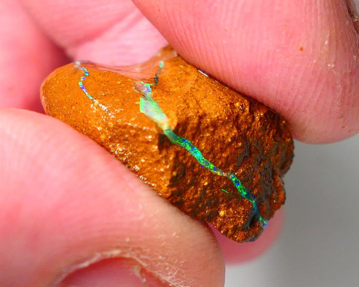 Queensland Boulder Matrix opal 20cts rough Winton Amazing very Unique & Bright colour in veins  18x15x10mm WAE11