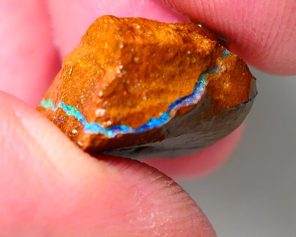 Queensland Boulder Matrix opal 20cts rough Winton Amazing very Unique & Bright colour in veins  18x15x10mm WAE11