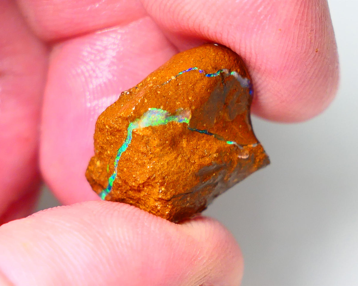 Queensland Boulder Matrix opal 20cts rough Winton Amazing very Unique & Bright colour in veins  18x15x10mm WAE11