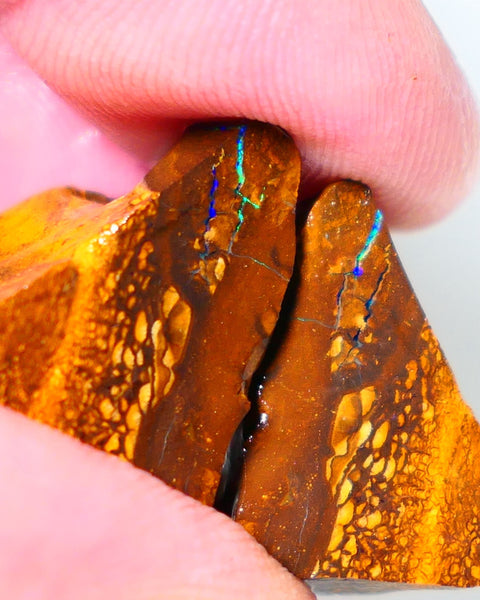 Queensland Boulder Matrix opal 74cts rough Winton  Bright colours in veins 20x15x15mm & 20x15x13mm WAE13