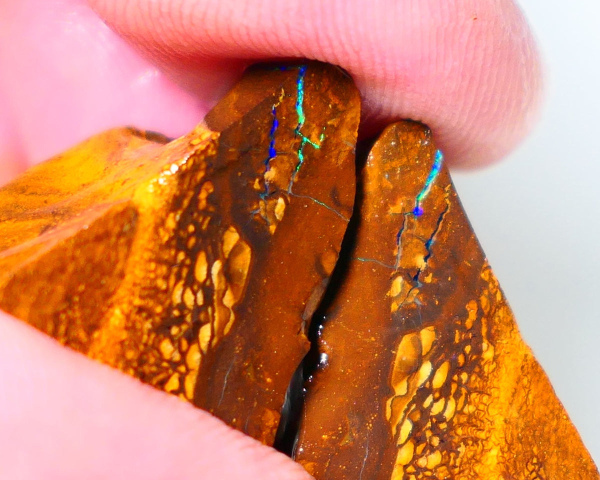 Queensland Boulder Matrix opal 74cts rough Winton  Bright colours in veins 20x15x15mm & 20x15x13mm WAE13