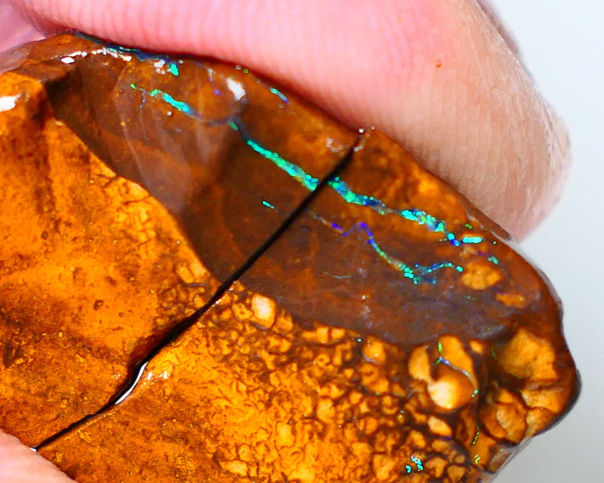 Queensland Boulder Matrix opal 74cts rough Winton  Bright colours in veins 20x15x15mm & 20x15x13mm WAE13