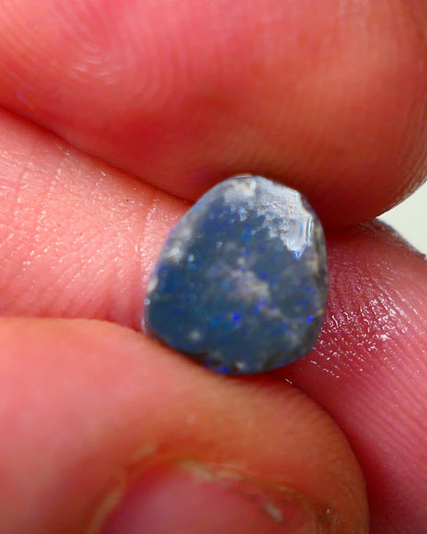 Lightning Ridge Opal Dark Base Crystal Knobby Rough Rub 1.7cts Stunning Bright Blues 9x8x3mm WAE22