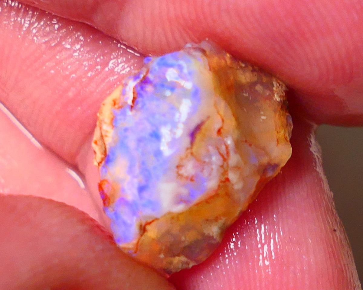 Lightning Ridge Opal Rough Very nice Opalised Wood Fossil 6.25cts Bright Colours 17x12x6mm 0661