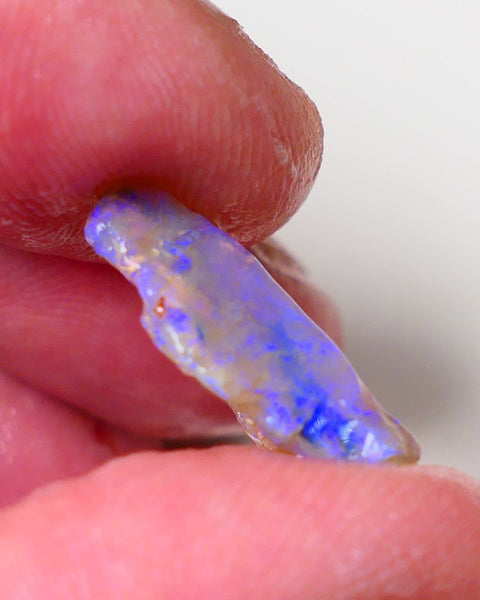 Lightning Ridge Rough Opal 6.2cts Crystal Knobby Piece showing nice  Bright Blue colours 20x12x6mm 0669