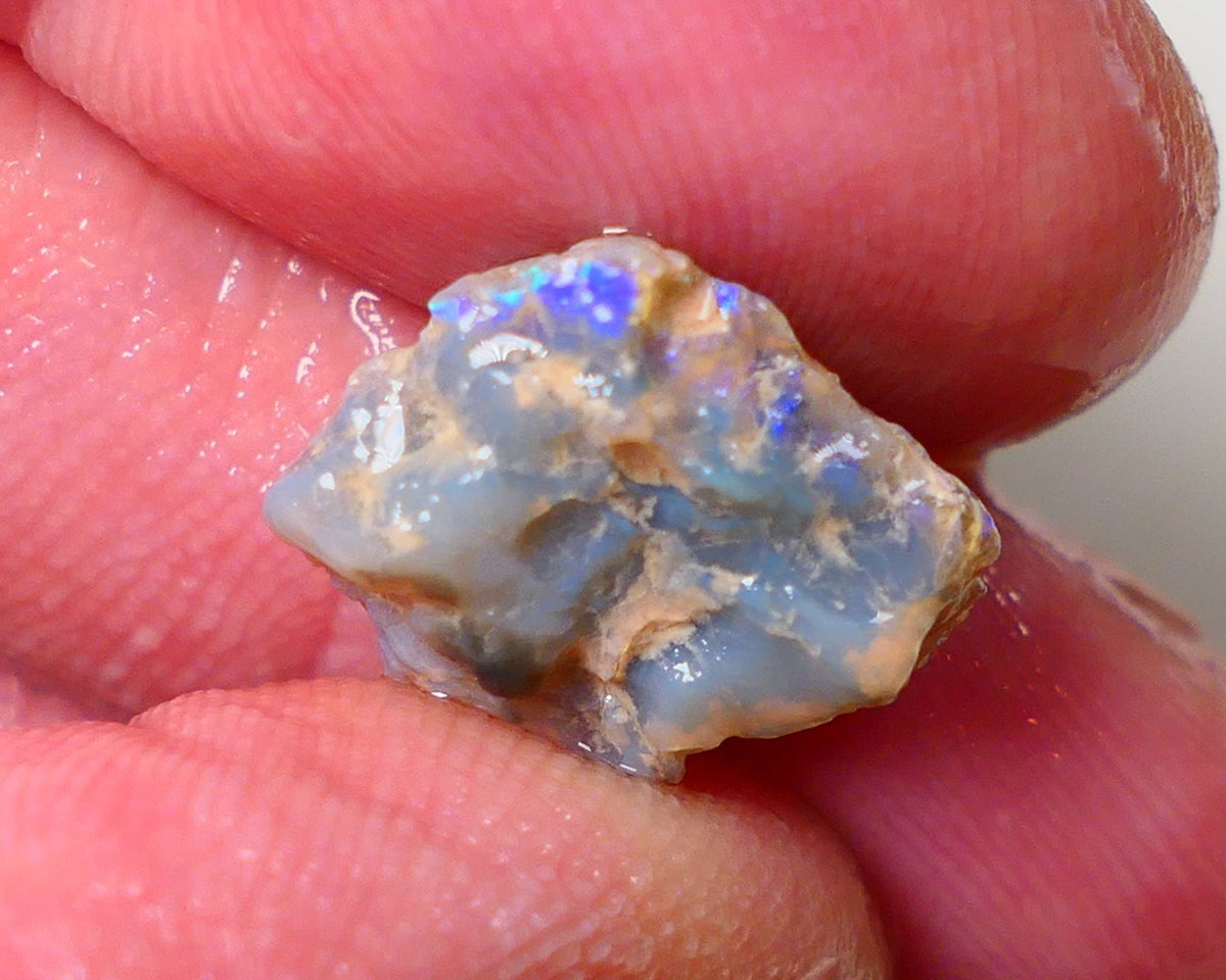 Lightning Ridge Rough Opal 62cts Dark Base Pea Knobby showing some Blue colours 15x12x6mm 0713