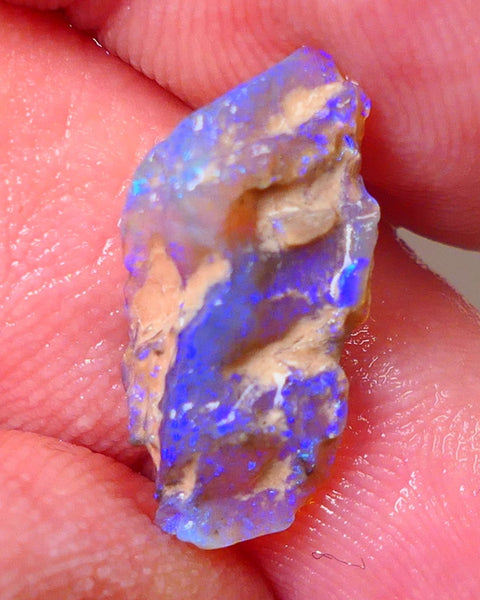 Lightning Ridge Opal Rough nice Opalised Wood Fossil 3.80cts Bright Colours 19x10x4mm 0665