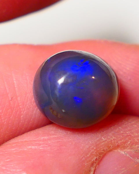 Lightning Ridge Dark Crystal Opal Super High Dome Gemstone 5.75cts Jewellery Grade N5 Body Tone B3 Brightness  Rolling Flash Royal Blues in deep bar 11x10x7mm 0707