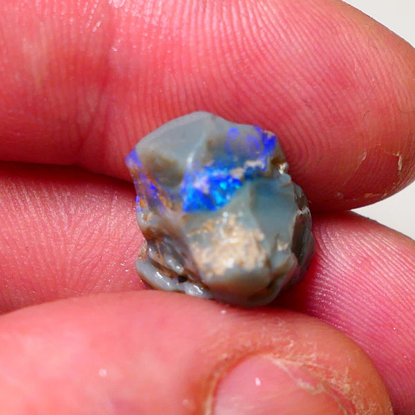 Lightning Ridge Rough Opal 9.5cts Dark Base Pea Knobby showing nice  Bright colours 15x13x12mm 0702