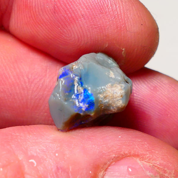 Lightning Ridge Rough Opal 9.5cts Dark Base Pea Knobby showing nice  Bright colours 15x13x12mm 0702