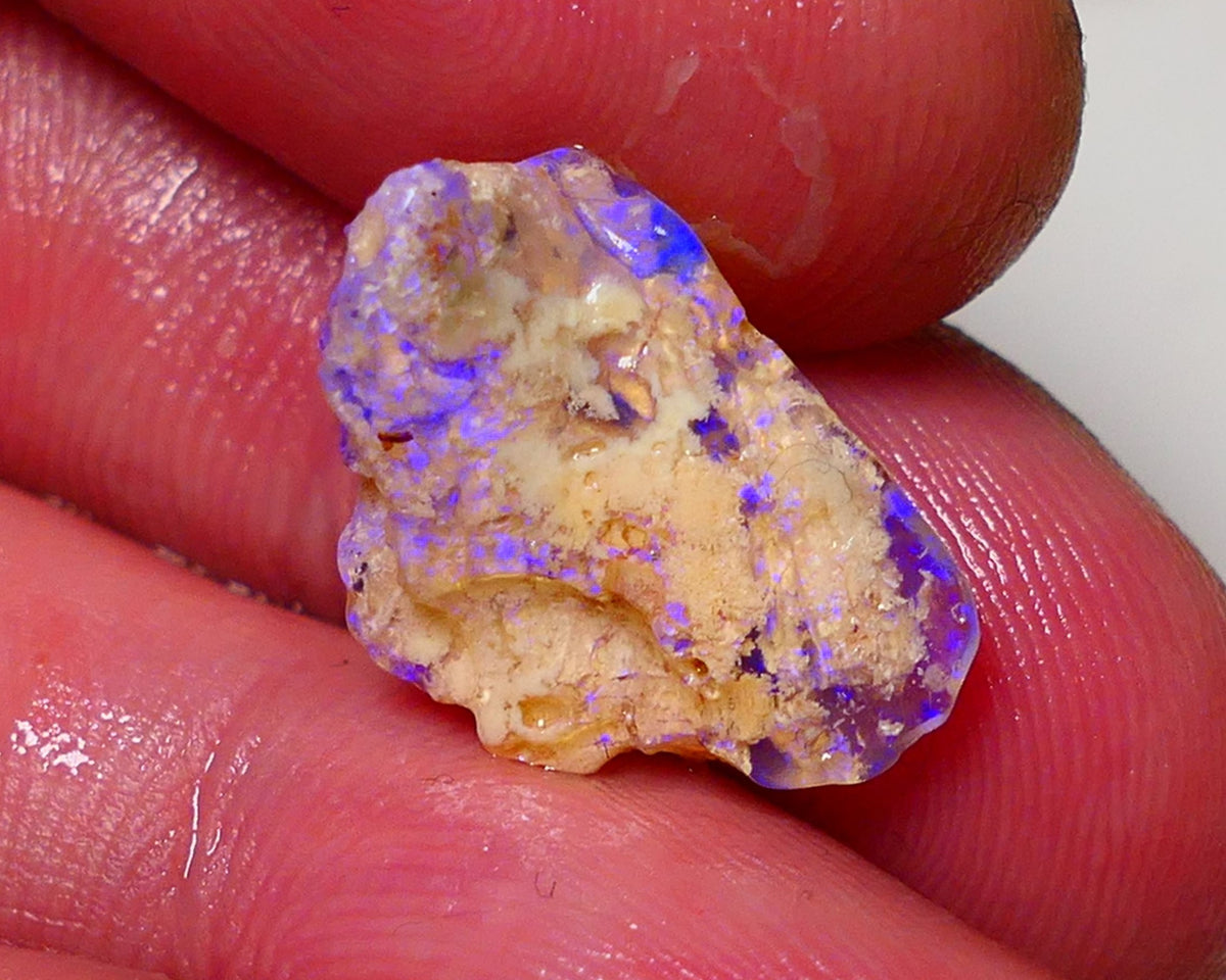 Lightning Ridge Opal Rough nice Opalised Wood Fossil 6cts Bright Blue Colours 2012x7mm 0704