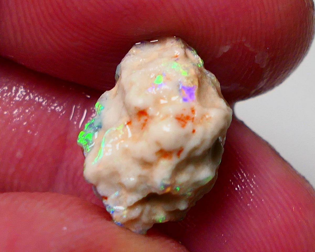 Lightning Ridge Rough Opal 6.6cts Crystal Pea Knobby showing nice  Bright Multicolours 15x10x9mm 0701