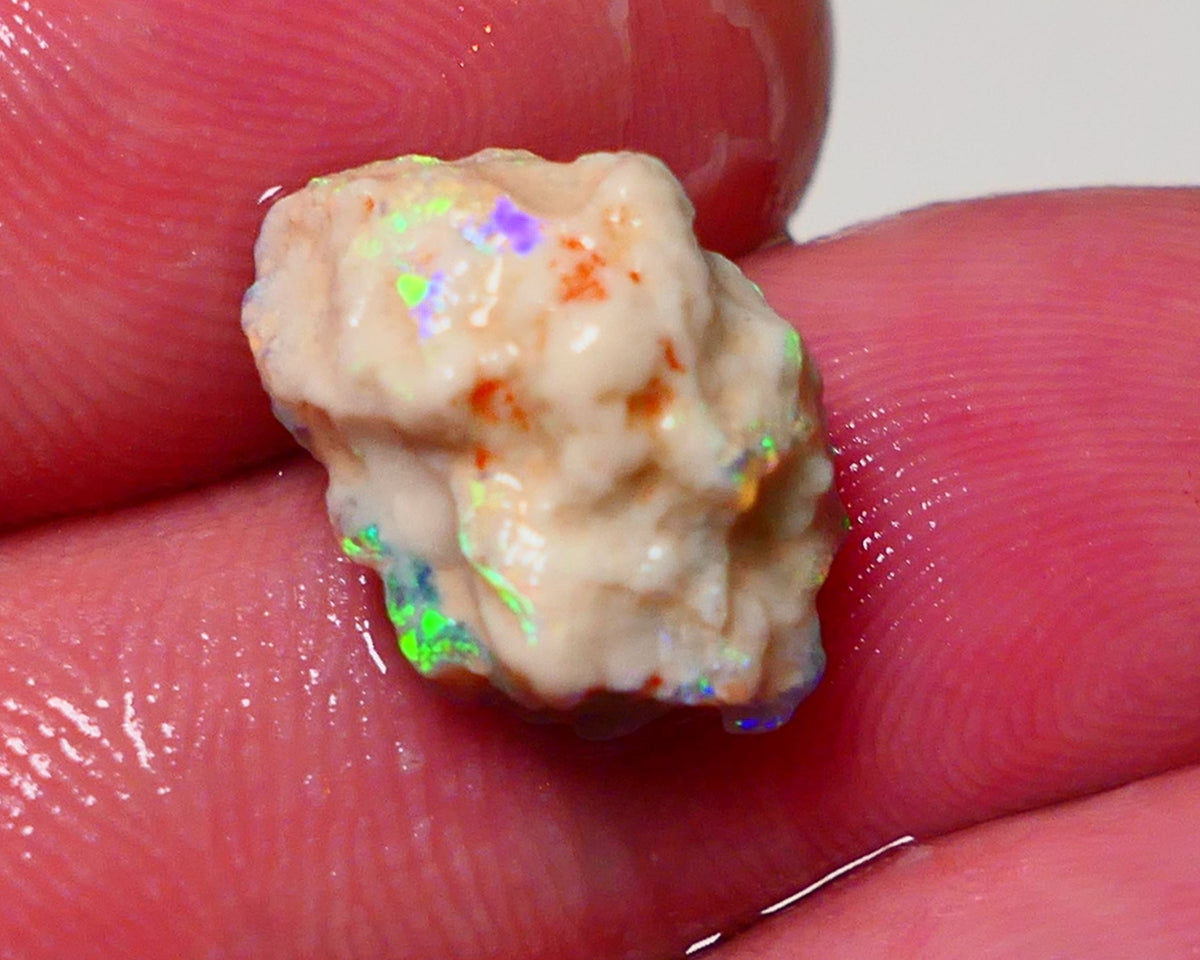 Lightning Ridge Rough Opal 6.6cts Crystal Pea Knobby showing nice  Bright Multicolours 15x10x9mm 0701