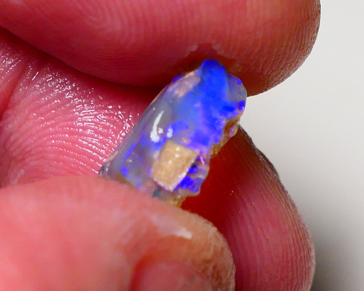 Lightning Ridge Opal Rough Small Opalised Wood Fossil 2.3cts Bright Blue Colours 13x7x5mm 0708