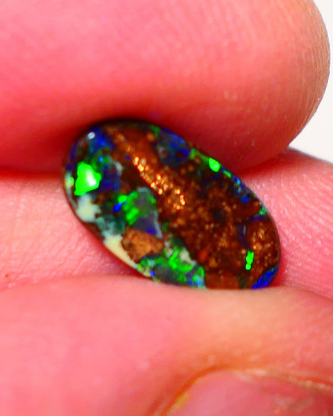 Australian Queensland Boulder opal Polished Gemstone 2cts Electric Bright Multifires From Winton 13x7x2mm 0718