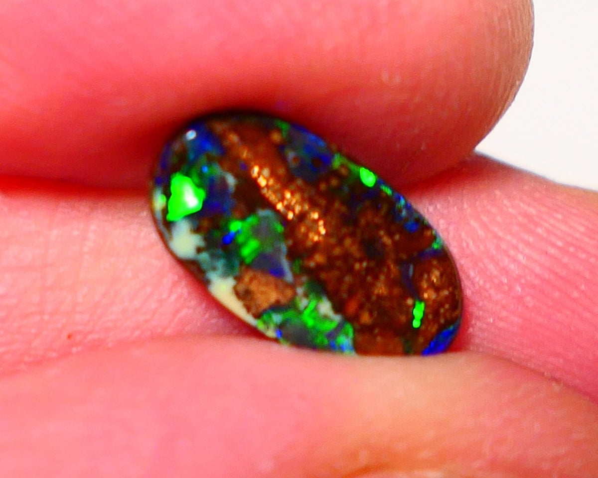 Opal Fever Mate Auction