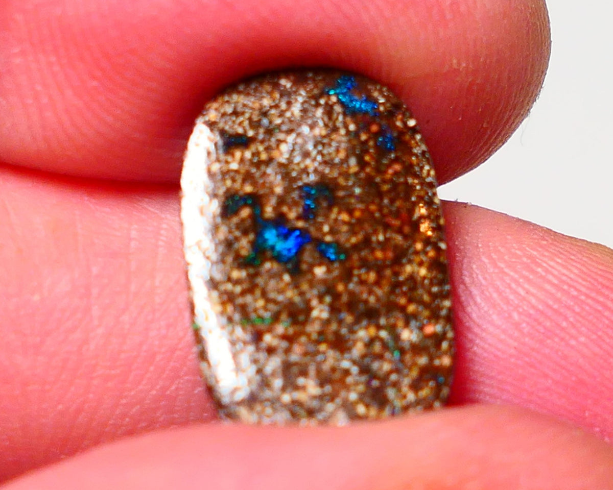 Winton Boulder Opal Gemstone 5.7cts Face showing Bits of Blue Fires only 18x11x3mm 0925