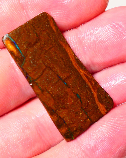 Queensland Boulder Matrix opal 31cts rough Winton  Bright colours in veins 38x18x5mm 0720