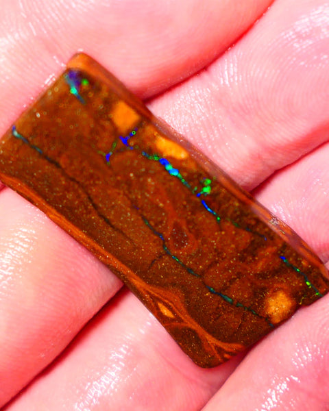 Queensland Boulder Matrix opal 31cts rough Winton  Bright colours in veins 38x18x5mm 0720