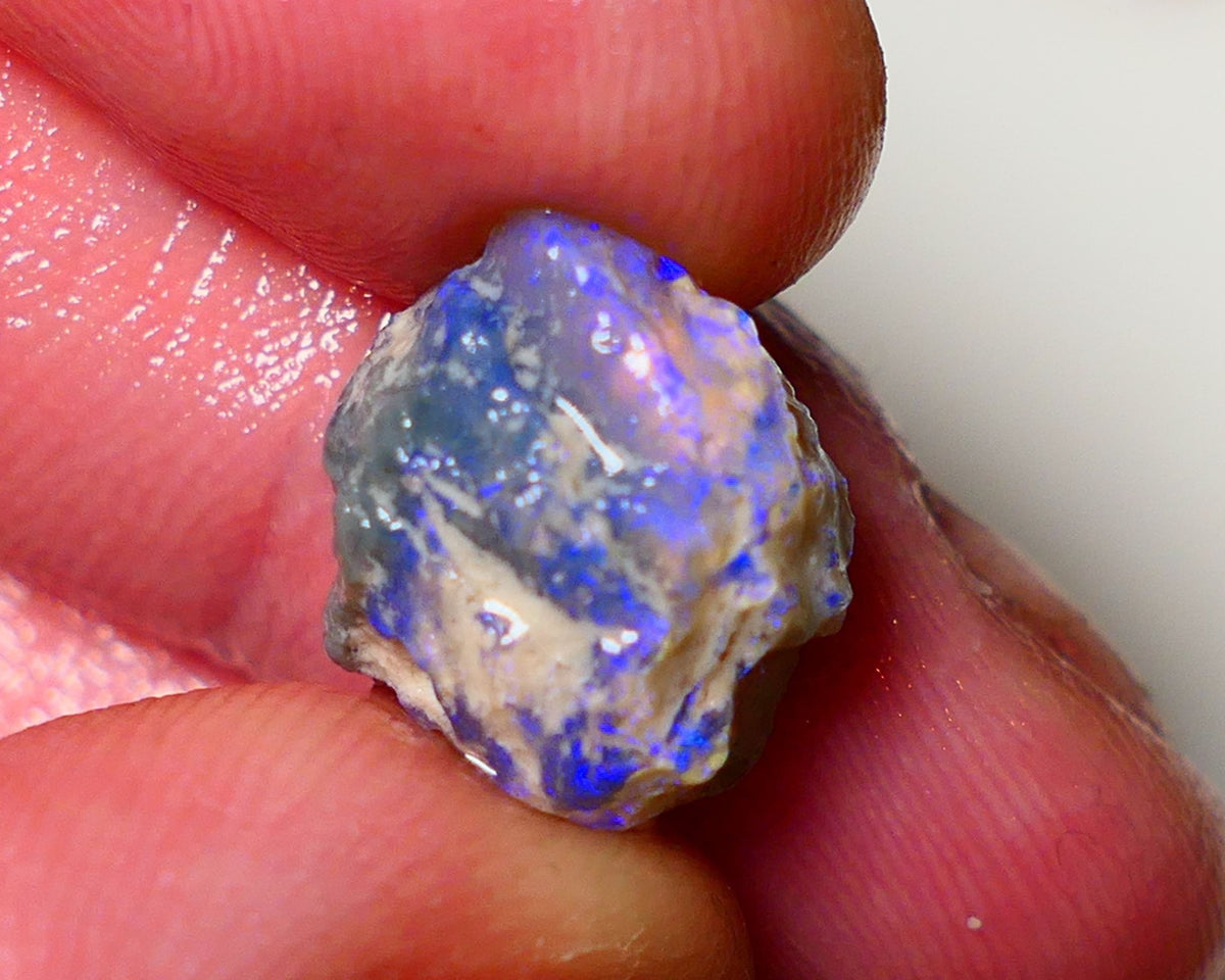 Lightning Ridge Rough Opal 7.2cts Dark Base Pea Knobby showing nice  Bright colours 14x10x8mm 0801