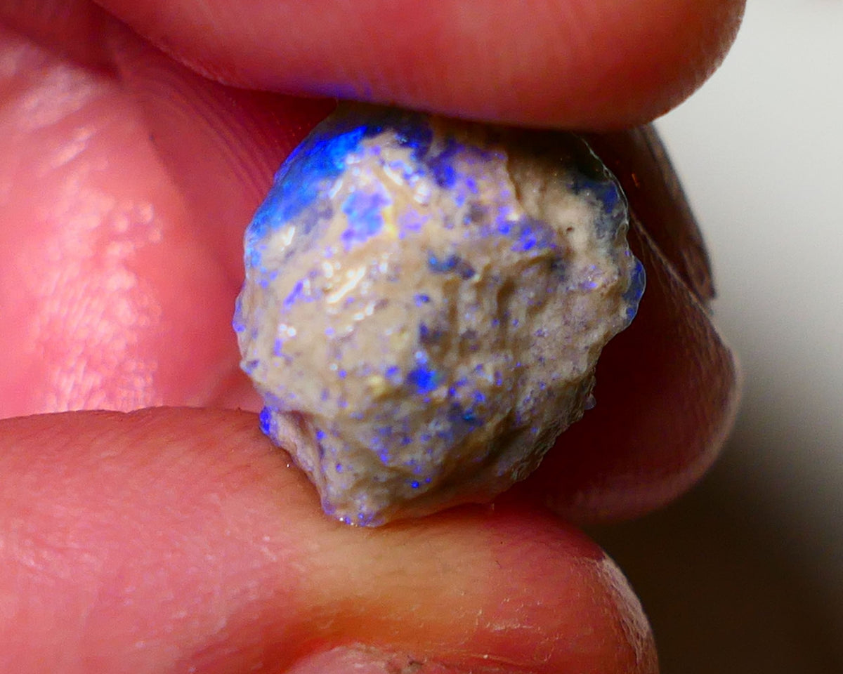 Lightning Ridge Rough Opal 7.2cts Dark Base Pea Knobby showing nice  Bright colours 14x10x8mm 0801