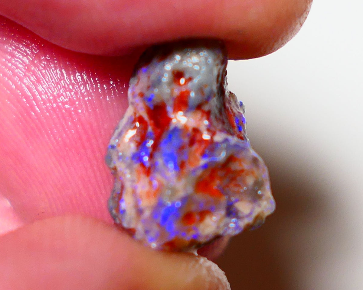 Lightning Ridge Rough Opal 5.7cts Dark Crystal Base Pea Knobby showing nice  Bright colours 15x10x9mm 0813 AUCTION