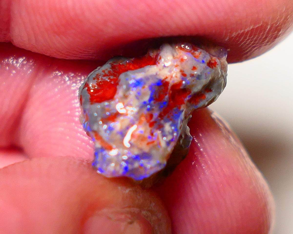 Lightning Ridge Rough Opal 5.7cts Dark Crystal Base Pea Knobby showing nice  Bright colours 15x10x9mm 0813 AUCTION