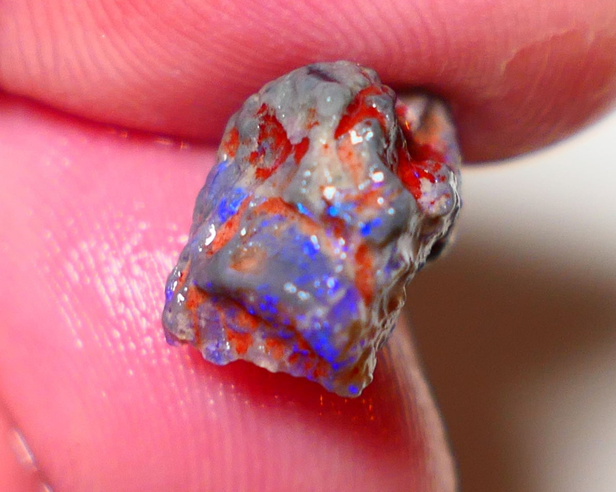 Lightning Ridge Rough Opal 5.7cts Dark Crystal Base Pea Knobby showing nice  Bright colours 15x10x9mm 0813 AUCTION