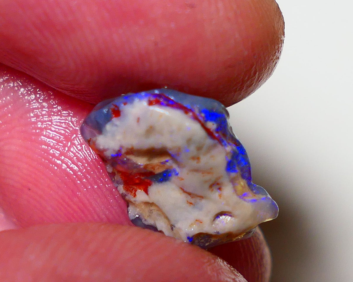 Lightning Ridge Rough Opal 3.5cts Dark Crystal Base Pea Knobby showing nice Bright colours 13x9x4mm 0816 AUCITON