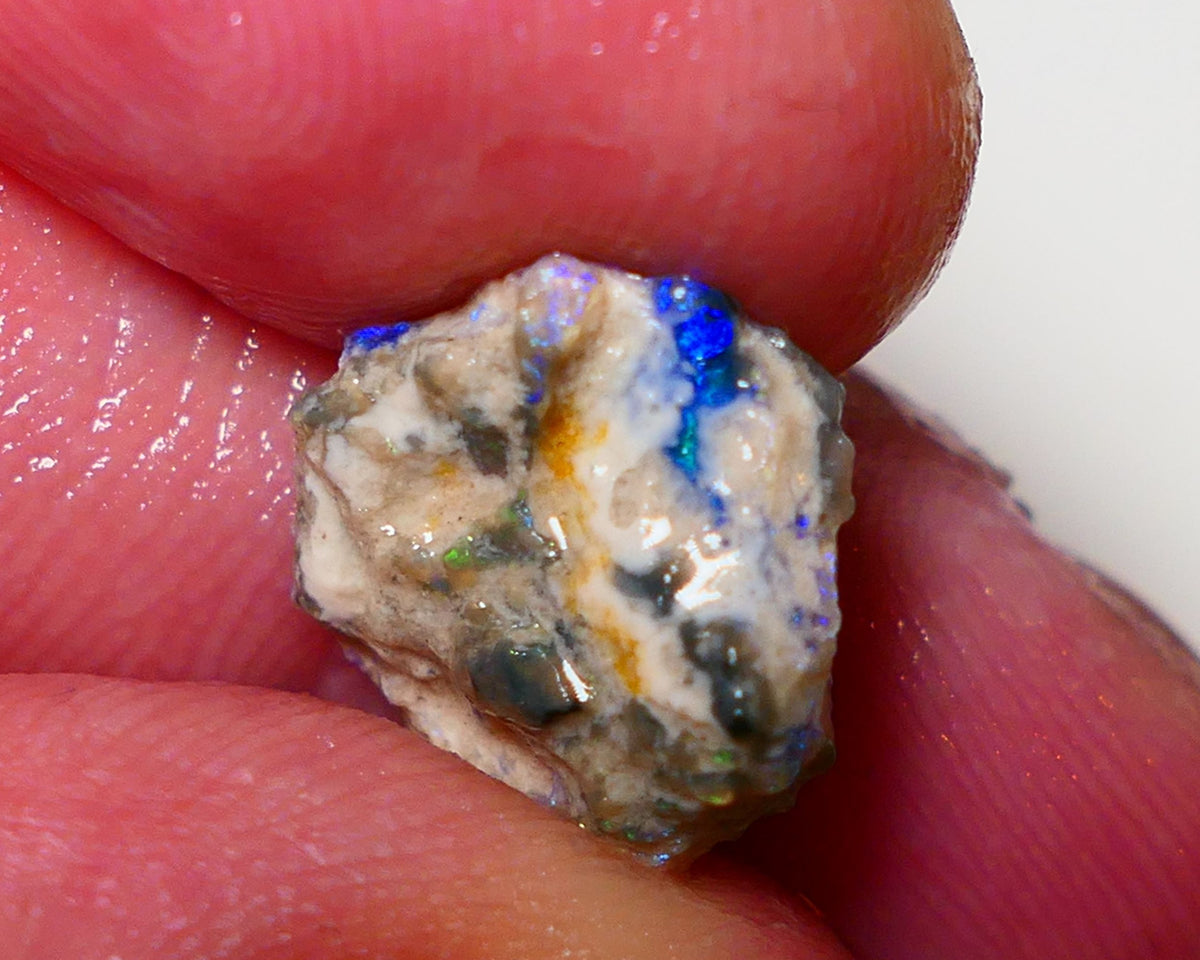 Lightning Ridge Rough Opal 4.4cts Dark Crystal Base Pea Knobby showing nice Bright colours 15x13x5mm 0817 AUCITON